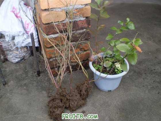 P1010008 (С��).JPG