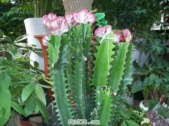 100_2290.JPG