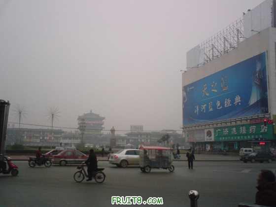 DSC00008.JPG