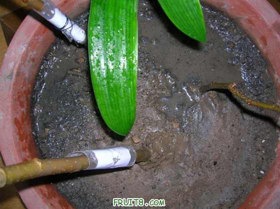 DSCN4018 ().JPG