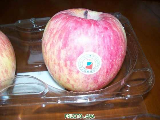 100_2346.JPG