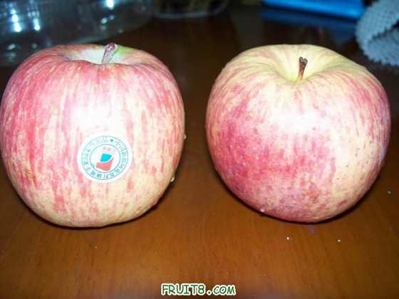 �Ƚ�һ������ƻ�������������