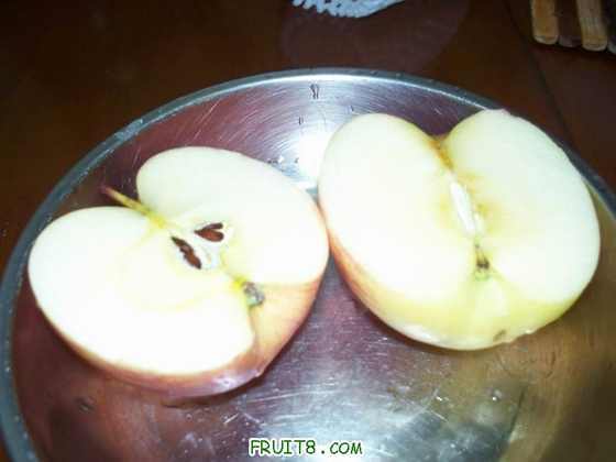 100_2351.JPG