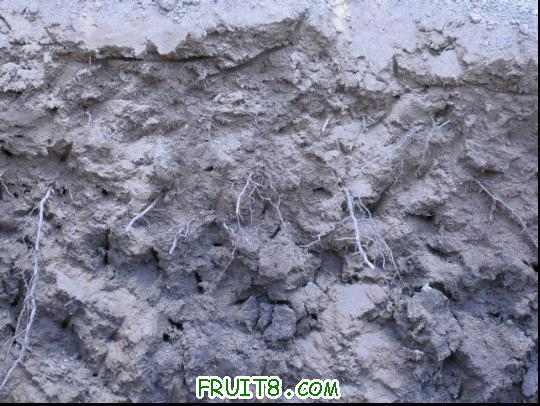 40cm��ϵ�ֲ�