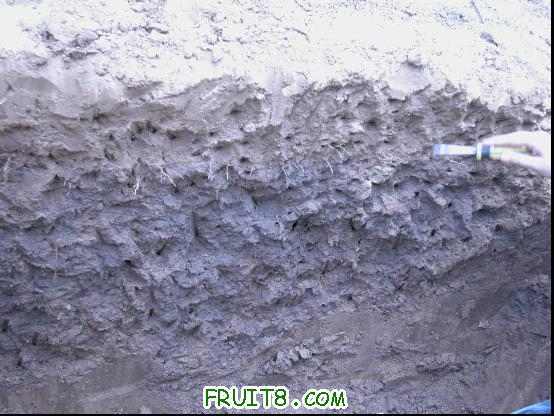 60cm��ϵ�ֲ�