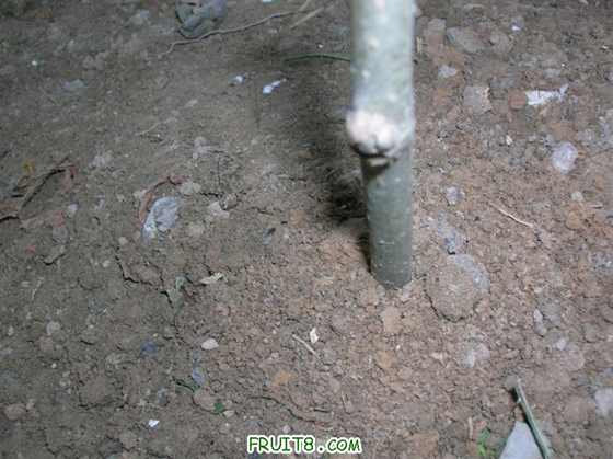 DSCN4040 ().JPG