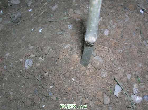 DSCN4041 ().JPG