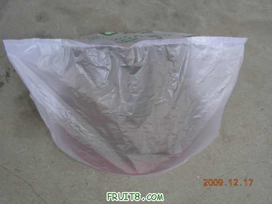 DSCN3749.JPG