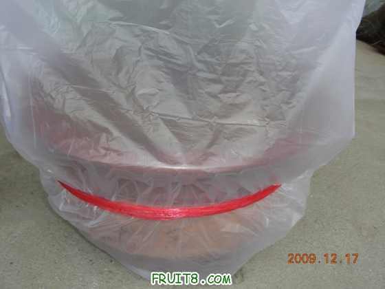 DSCN3752.JPG