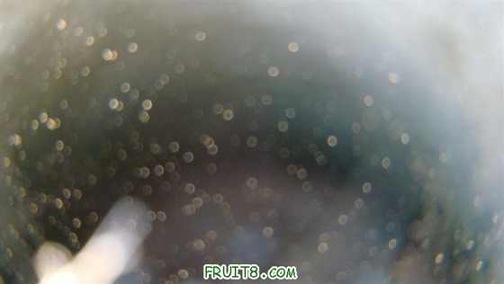 DSC01450 ().JPG