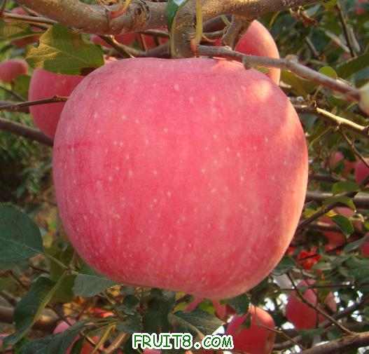 0910181839d0be7358bbc6abfc.jpg
