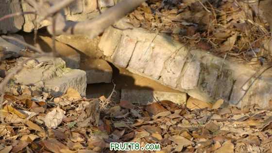 DSC01459 ().JPG