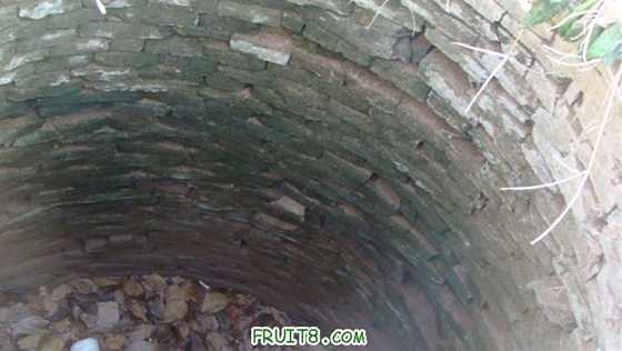 DSC01455 ().JPG