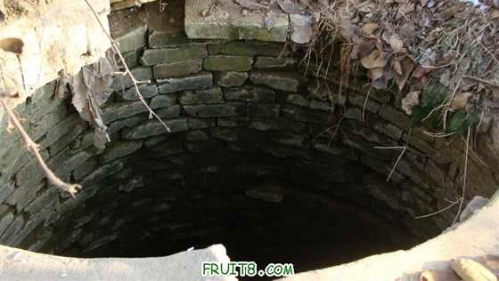 DSC01454 ().JPG