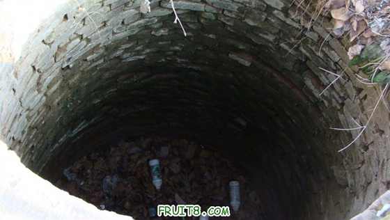 DSC01457 ().JPG