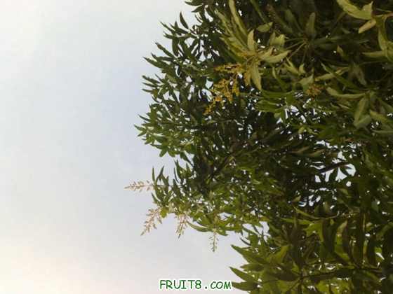 20091218027.jpg