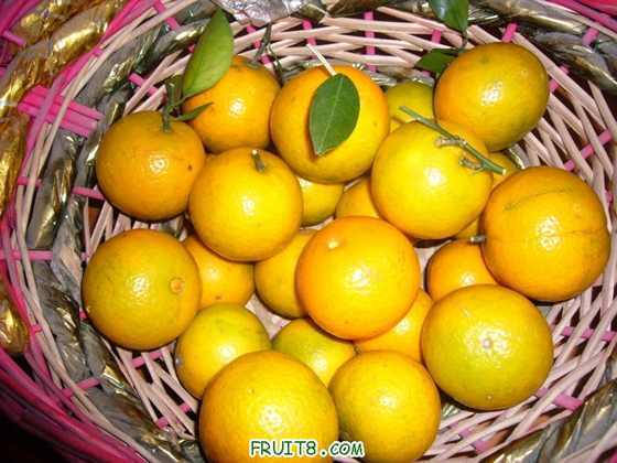 P1040478.JPG
