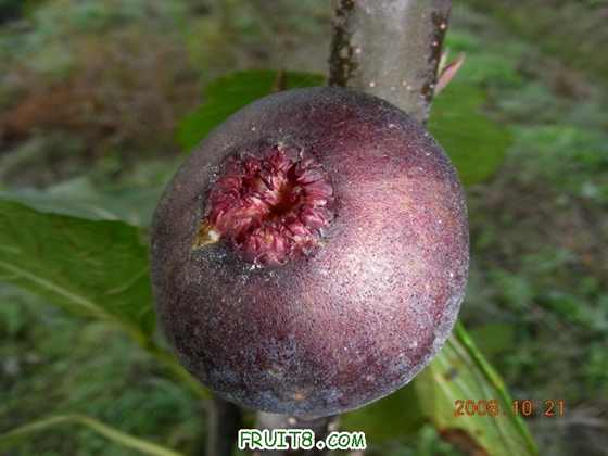 DSCN2320.JPG