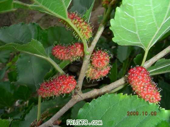 DSCN1030.JPG
