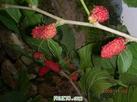 DSCN2268.JPG