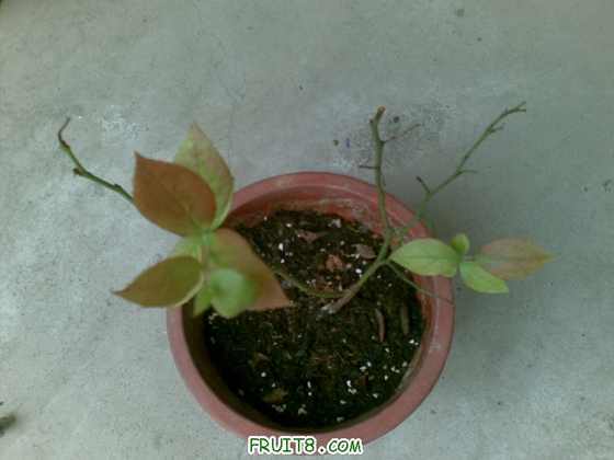 20091214(002).jpg