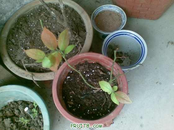 20091214.jpg