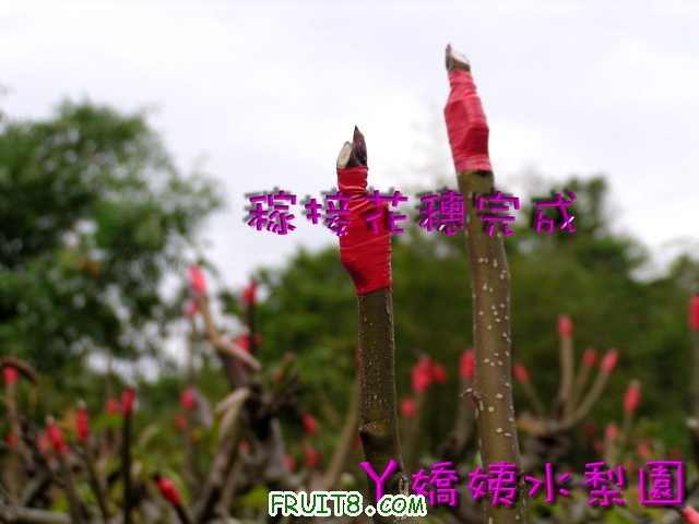 �޽���������.jpg