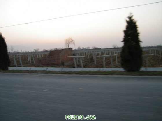 DSCF2032_СС.JPG