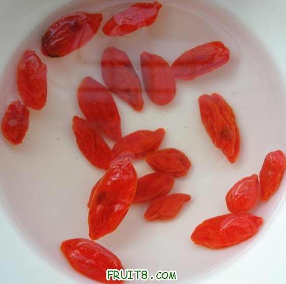 DSCN4108.JPG