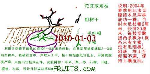 ��֦�ɼ޽��ٳ��辰��.jpg