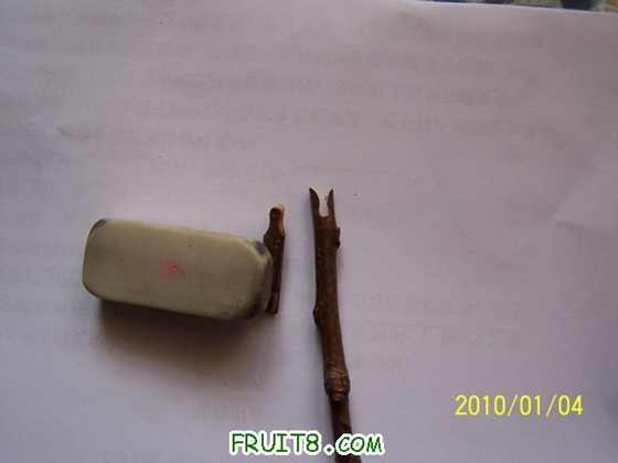 100_7511a.JPG