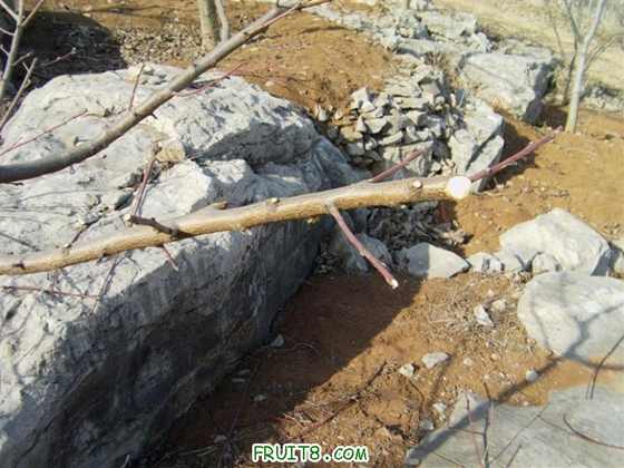 IMAG0138 ().JPG