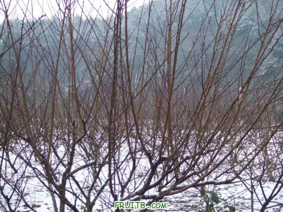 DSCF1328_.JPG