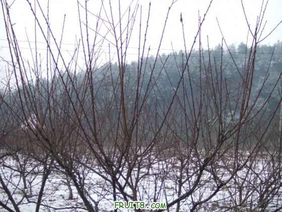 DSCF1329_.JPG