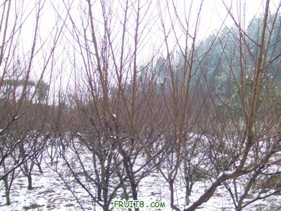DSCF1333_.JPG