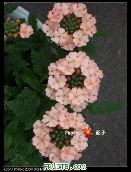 100_4709_nEO_IMG.jpg