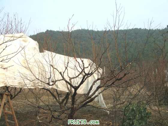 DSCF1349_.JPG