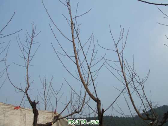 DSCF1359_.JPG
