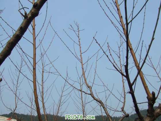 DSCF1372_.JPG