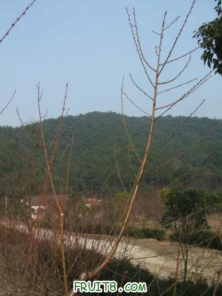 DSCF1379_.JPG