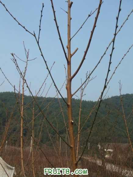 DSCF1377_.JPG