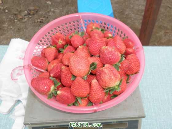 P1090001.JPG