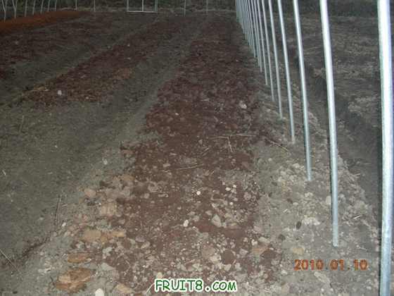 DSCN4386.JPG