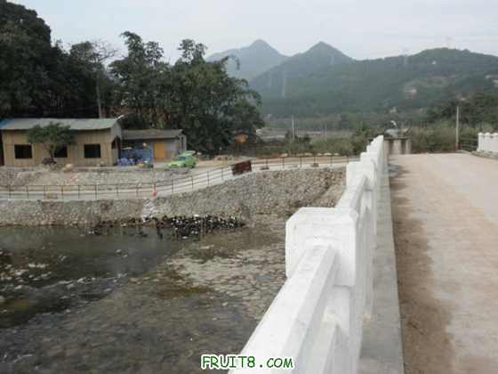P1100002.JPG