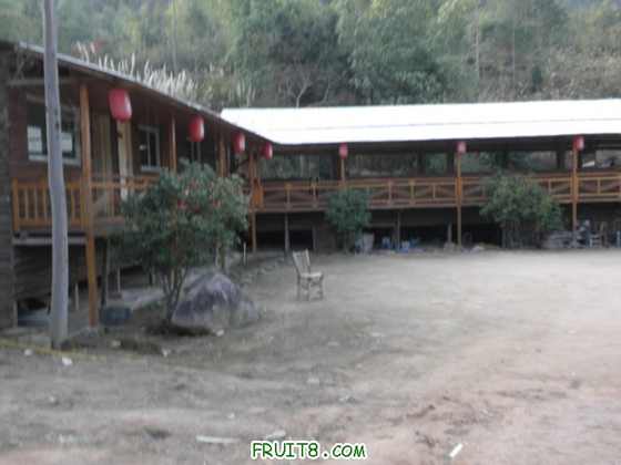 P1100103.JPG