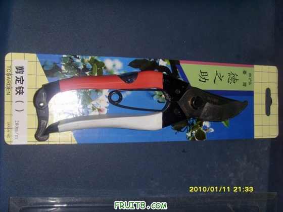 ������С SI853866.JPG