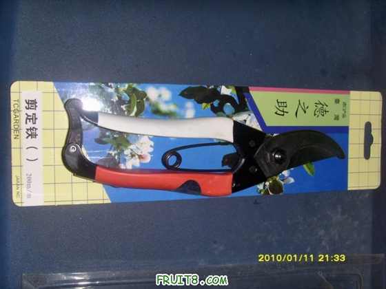 ������С SI853865.JPG