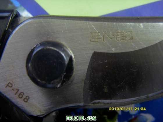 ������С SI853871.JPG