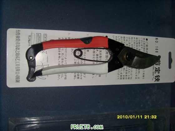 ������С SI853864.JPG