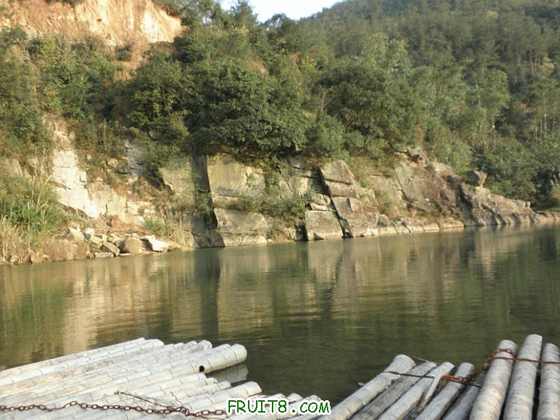 P1100129.JPG